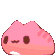 摩羯! Zone
